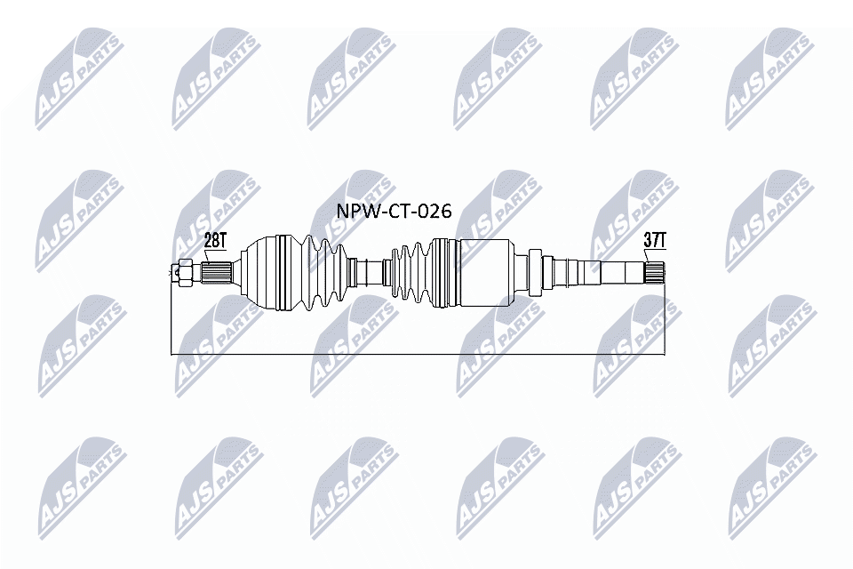 Talerz sprężyny NTY AD-BM-018