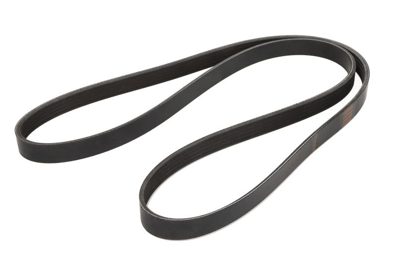 Pasek klinowy wielorowkowy DT SPARE PARTS 2.15556