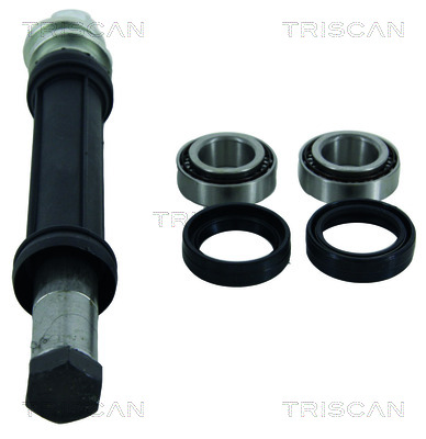 Zestaw naprawczy wahaczy TRISCAN 8500 38400