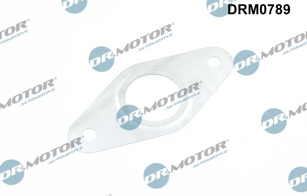 Zestaw uszczelek, system AGR DR.MOTOR AUTOMOTIVE DRM0789