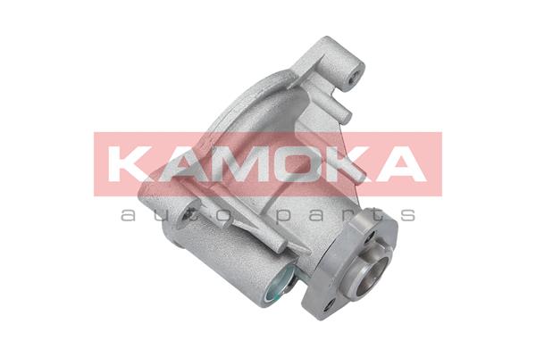 Pompa wody KAMOKA T0021