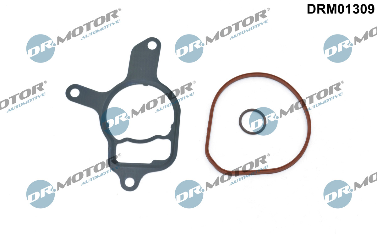 Zestaw uszczelnień, pompa podciśnieniowa DR.MOTOR AUTOMOTIVE DRM01309