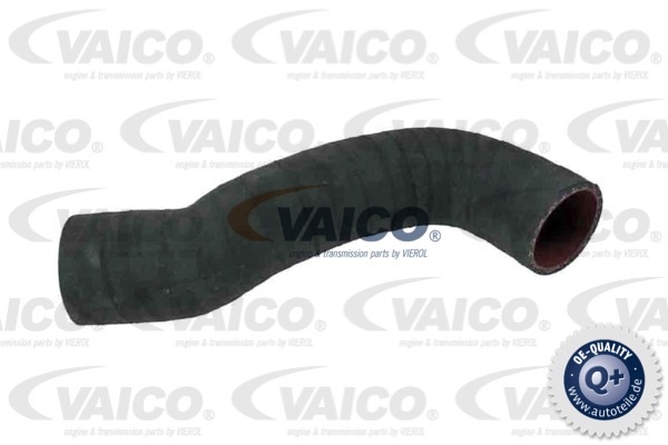 Przewód powietrza doładowującego VAICO V95-0351