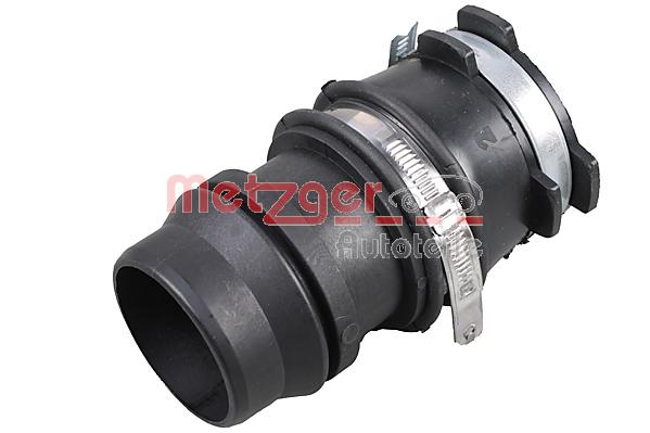 METZGER 2389024