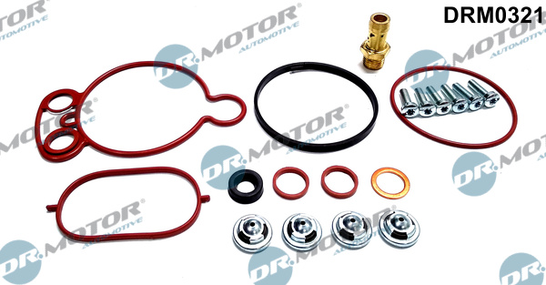 Zestaw naprawczy pompy podciśnienia DR.MOTOR AUTOMOTIVE DRM0321