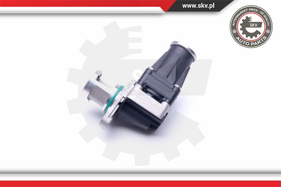 Zawór EGR ESEN SKV 14SKV185