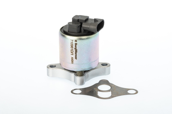 Zawór EGR BORGWARNER (WAHLER) 710961D/1