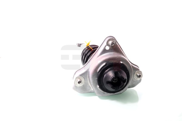Amortyzator teleskopowy GH GH-334704C02