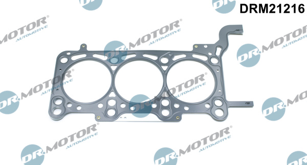 Zestaw uszczelek głowicy cylindrów DR.MOTOR AUTOMOTIVE DRM21216