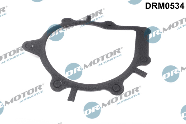 Uszczelka pompy wody DR.MOTOR AUTOMOTIVE DRM0534