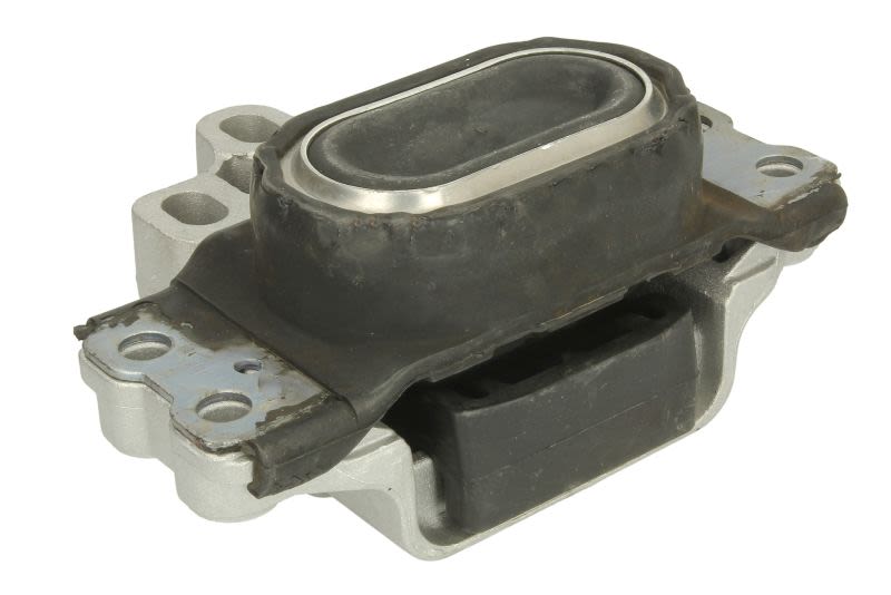 Poduszka silnika TEDGUM TED13881