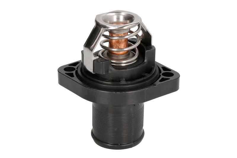 Termostat THERMOTEC D2C003TT