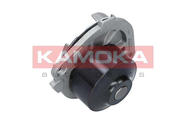 Pompa wody KAMOKA T0113