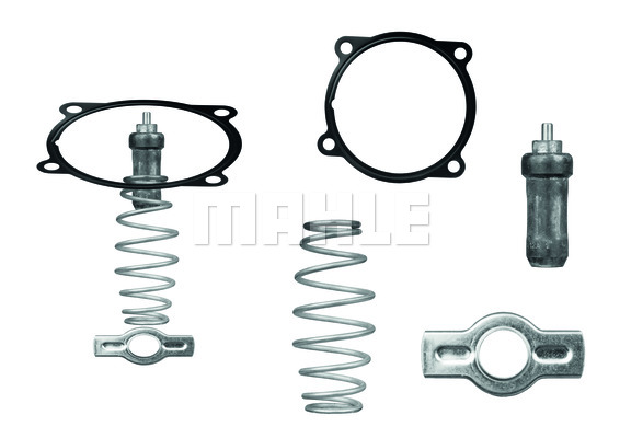 Termostat MAHLE TX 51 79D