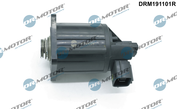Zawór EGR DR.MOTOR AUTOMOTIVE DRM191101R
