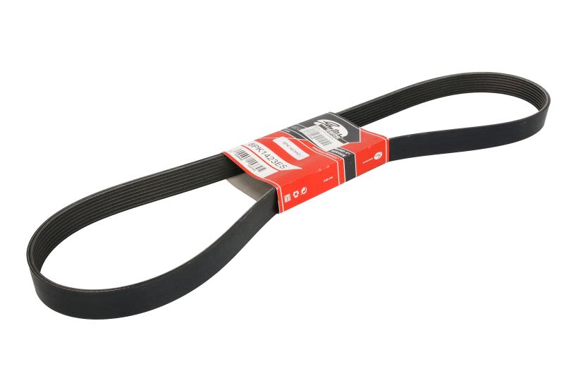 Pasek klinowy wielorowkowy GATES 8PK1423HD