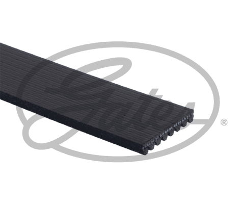 Pasek klinowy wielorowkowy GATES 8PK2293HD