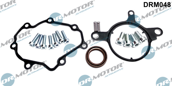 Zestaw naprawczy pompy podciśnienia DR.MOTOR AUTOMOTIVE DRM048
