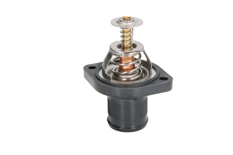 Termostat THERMOTEC D2C004TT