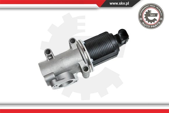 Zawór EGR ESEN SKV 14SKV006