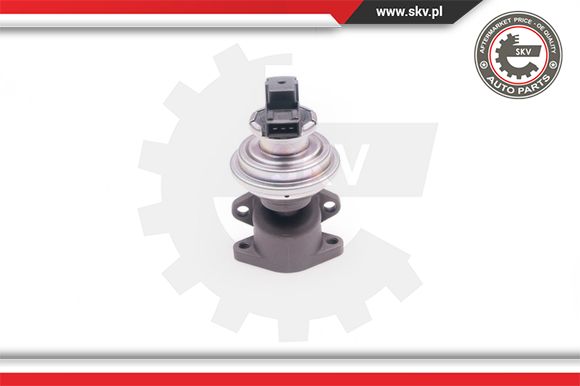 Zawór EGR ESEN SKV 14SKV129