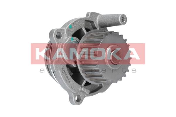 Pompa wody KAMOKA T0029
