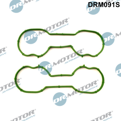 Zestaw uszczelek kolektora ssącego DR.MOTOR AUTOMOTIVE DRM091S