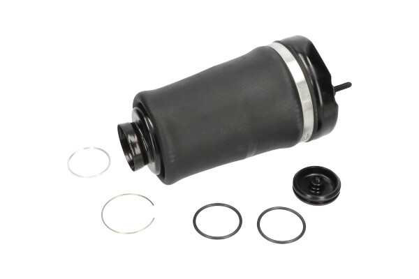 Poduszka powietrzna, zawieszenie KAVO PARTS SAS-10004