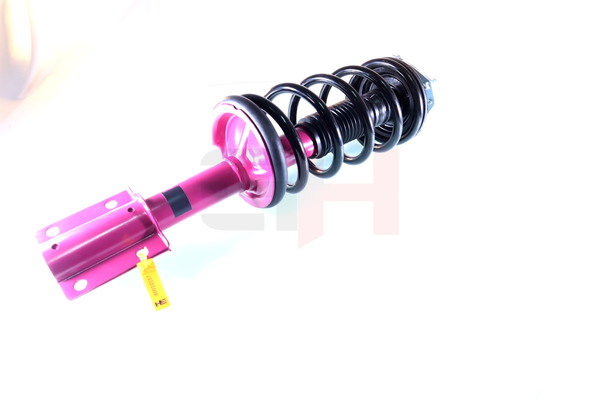 Amortyzator teleskopowy GH GH+351959C11A