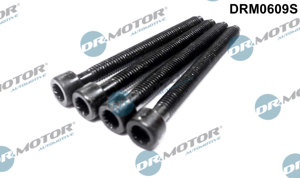 śruba justująca, pompa wtryskowa DR.MOTOR AUTOMOTIVE DRM0609S