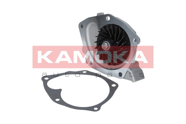 Pompa wody KAMOKA T0245