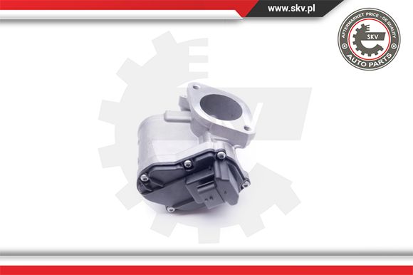 Zawór EGR ESEN SKV 14SKV165