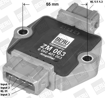 Moduł układu zapłonowego BERU BY DRIV ZM063