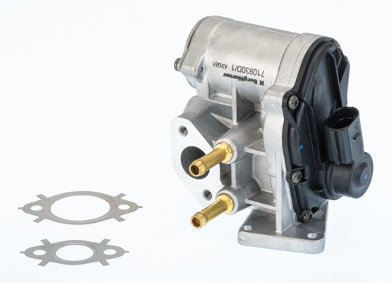 Zawór EGR BORGWARNER (WAHLER) 710930D/1