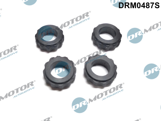 Zestaw pierścieni uszczelniających wtryskiwacz DR.MOTOR AUTOMOTIVE DRM0487S