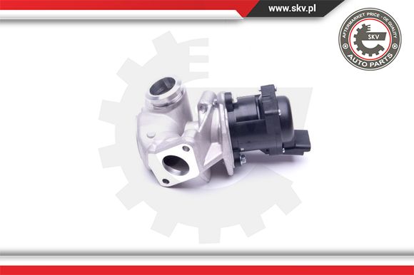 Zawór EGR ESEN SKV 14SKV202
