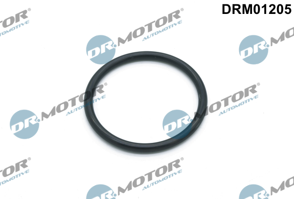 Uszczelka pompy wody DR.MOTOR AUTOMOTIVE DRM01205