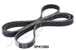 Pasek klinowy wielorowkowy JAPKO 5PK1800