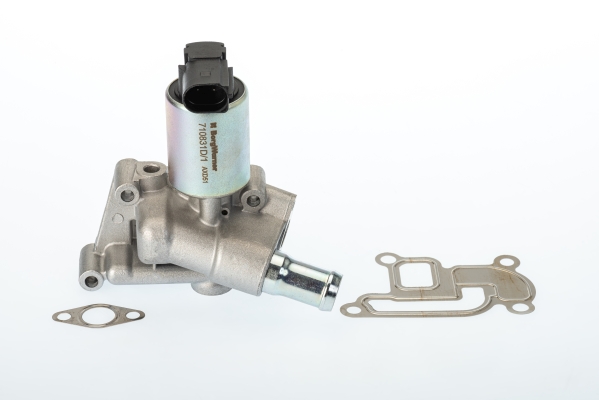 Zawór EGR BORGWARNER (WAHLER) 710831D/1