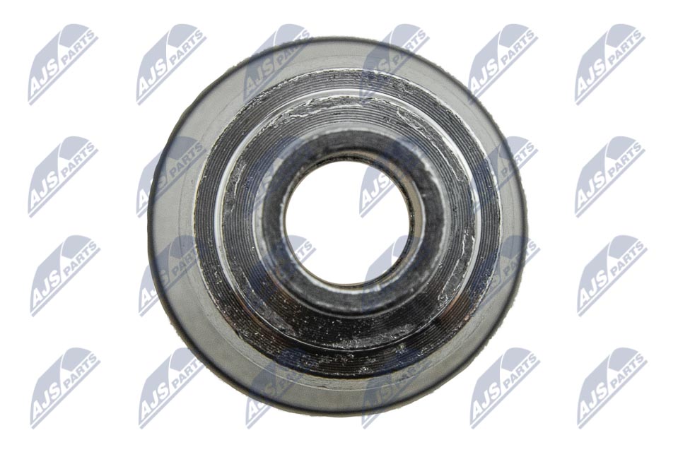 Wtryskiwacz NTY BWP-PL-001