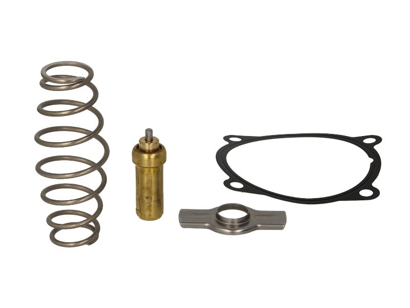 Termostat MAHLE TX 51 79D