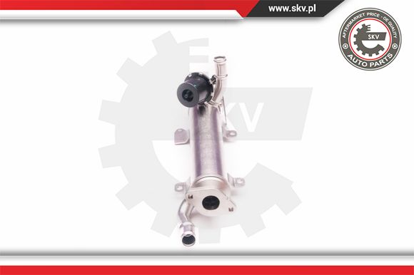 Zawór EGR ESEN SKV 14SKV123
