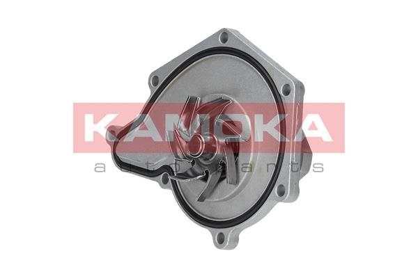 Pompa wody KAMOKA T0035