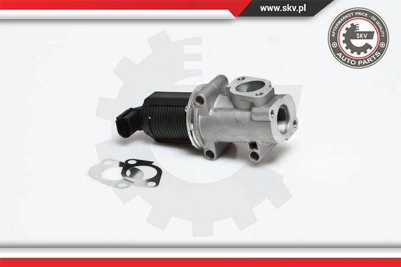 Zawór EGR ESEN SKV 14SKV006