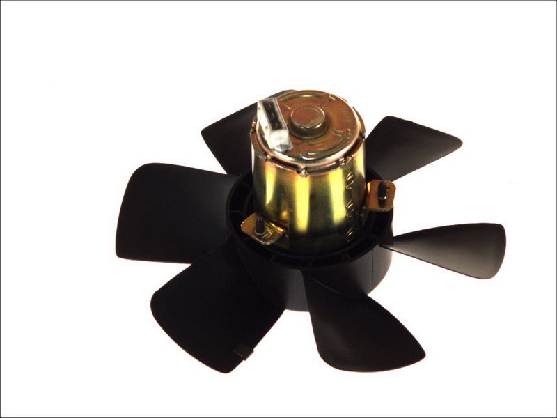 Wentylator THERMOTEC D8W013TT