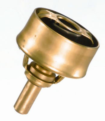 Termostat WAHLER 3029.89