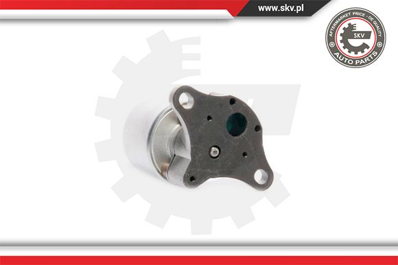 Zawór EGR ESEN SKV 14SKV035