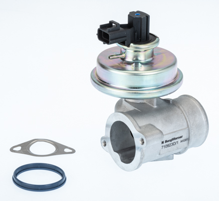 Zawór EGR BORGWARNER (WAHLER) 710923D/1