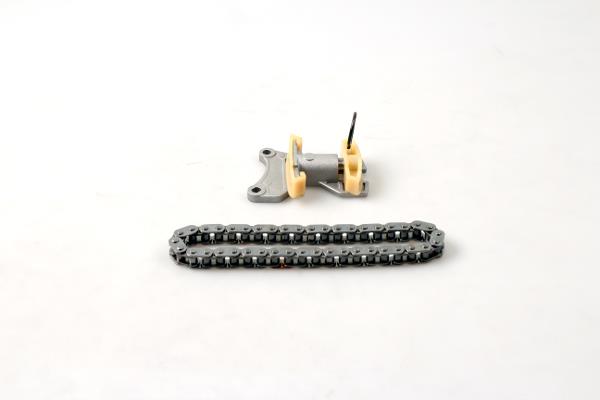 Zestaw łańcucha rozrządu HEPU 21-0305