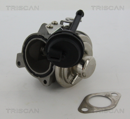 Zawór EGR TRISCAN 8813 29022